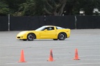IMG 4957