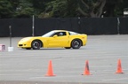 IMG 4958