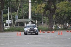 IMG 4981