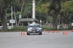IMG 4982