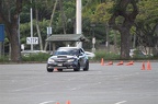 IMG 4984