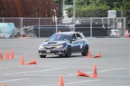 IMG 4991