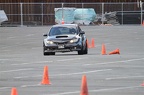 IMG 4997