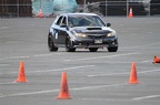 IMG 5002