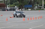 IMG 5008