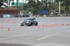 IMG 5013