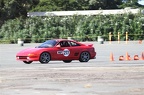 IMG 9013