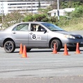 IMG 9055