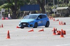 IMG 9719
