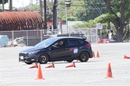 IMG 9754