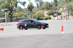 IMG 9759