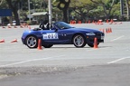 IMG 9771