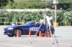 IMG 9778