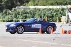 IMG 9779