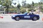 IMG 9786