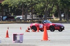 IMG 9810