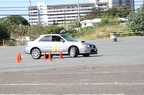 IMG 9856