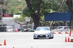 IMG 9895