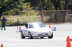 IMG 9942