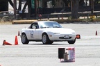 IMG 9947