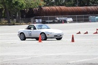 IMG 9950