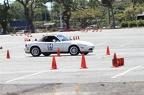 IMG 9955
