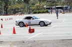 IMG 9956