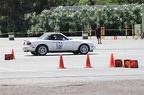 IMG 9960