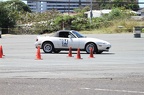 IMG 9964