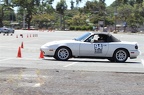 IMG 9981