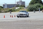 IMG 9993