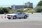 IMG 9997