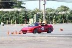 IMG 9010
