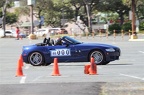 IMG 9774