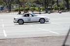 IMG 9958