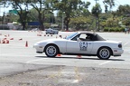 IMG 9982