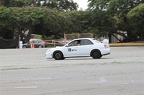HMG 9924