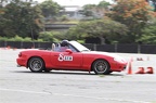 IMG 0019