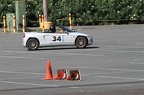IMG 1982