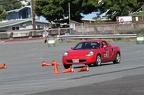 IMG 2082
