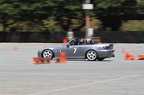 IMG 7135