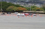 IMG 7151