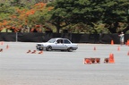 IMG 7153