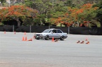 IMG 7154