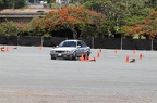 IMG 7155