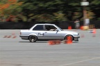 IMG 7156