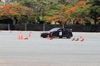 IMG 7173