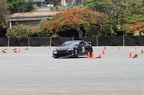 IMG 7174