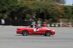 IMG 7204