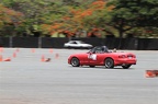 IMG 7217